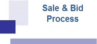 dms Sales & Bid Process